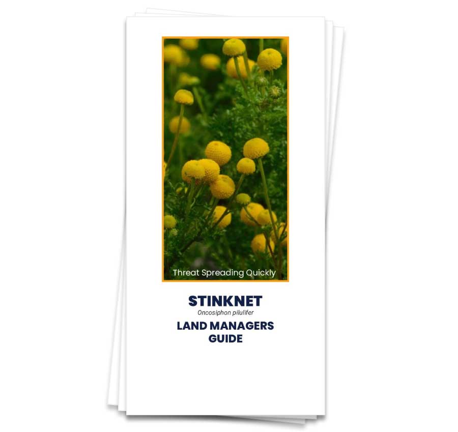 STINKNET brochure cover