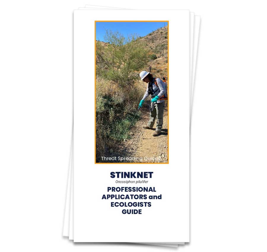 stinknet brochure cover