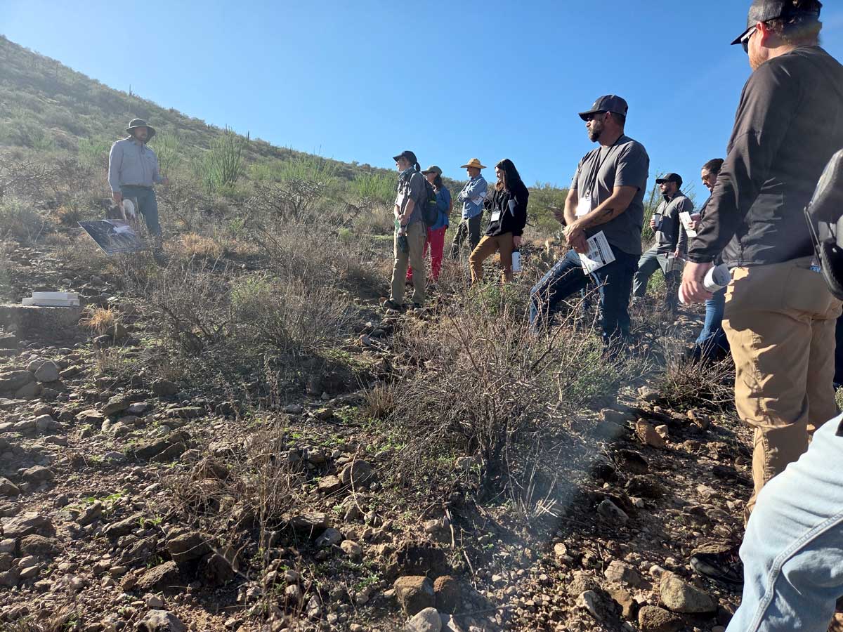 people walking in the desert looking at plants