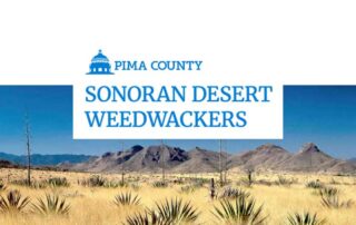 pima county sonoran desert weedwackers