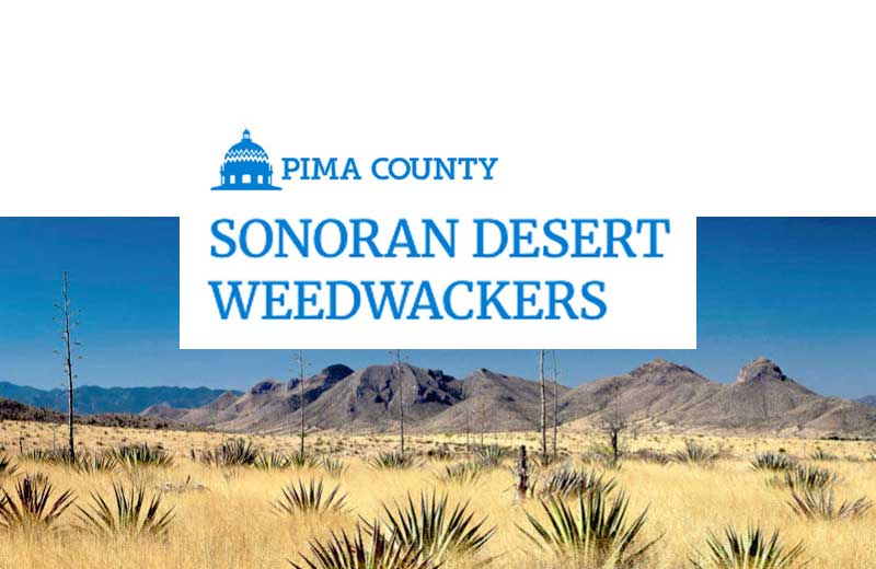 pima county sonoran desert weedwackers