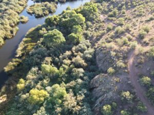 Aerial photo of riparial area Phon D. Sutton