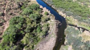 Aerial photo of riparial area Phon D. Sutton