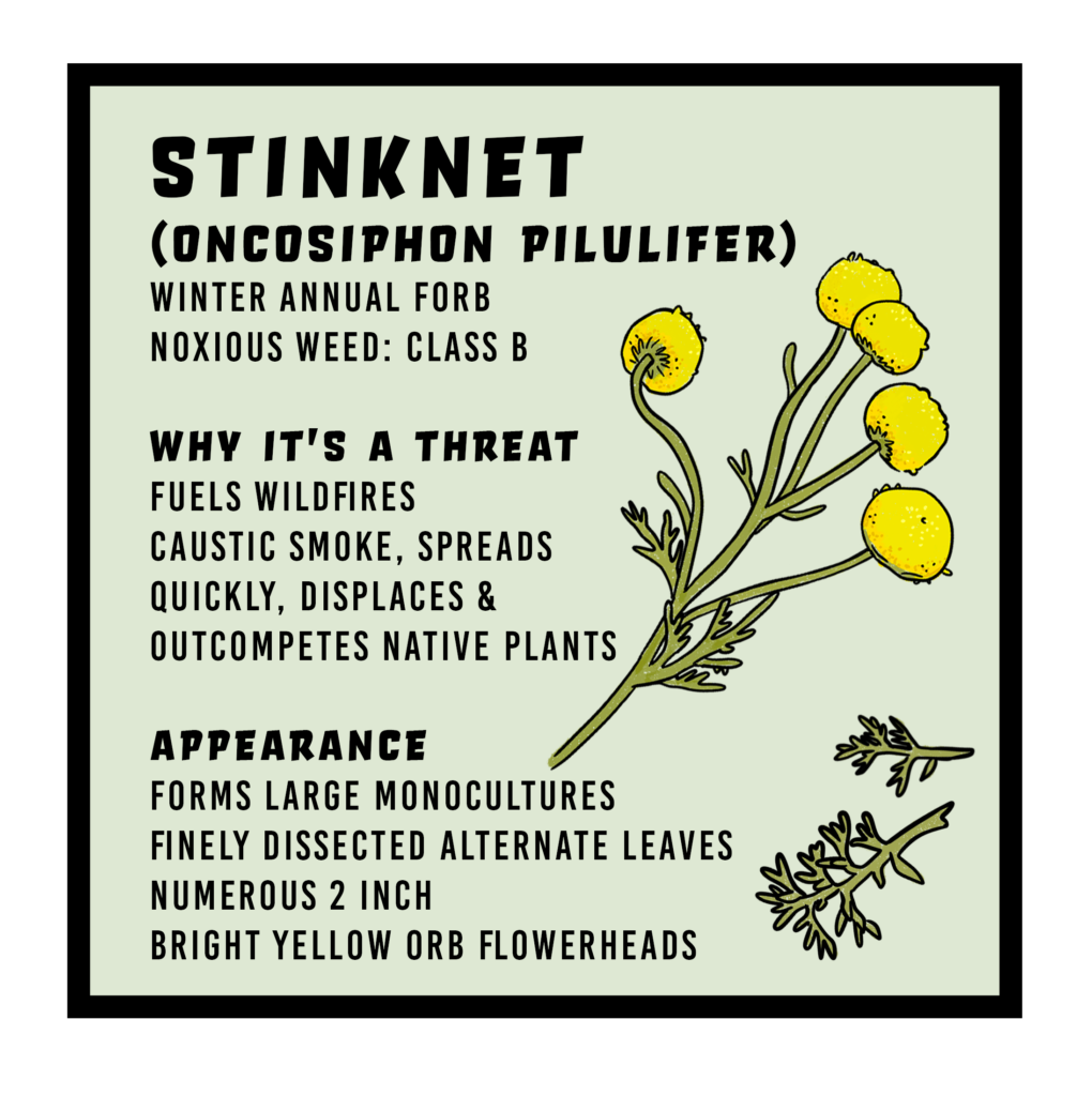 Stinknet infographic 