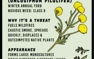 Stinknet infographic