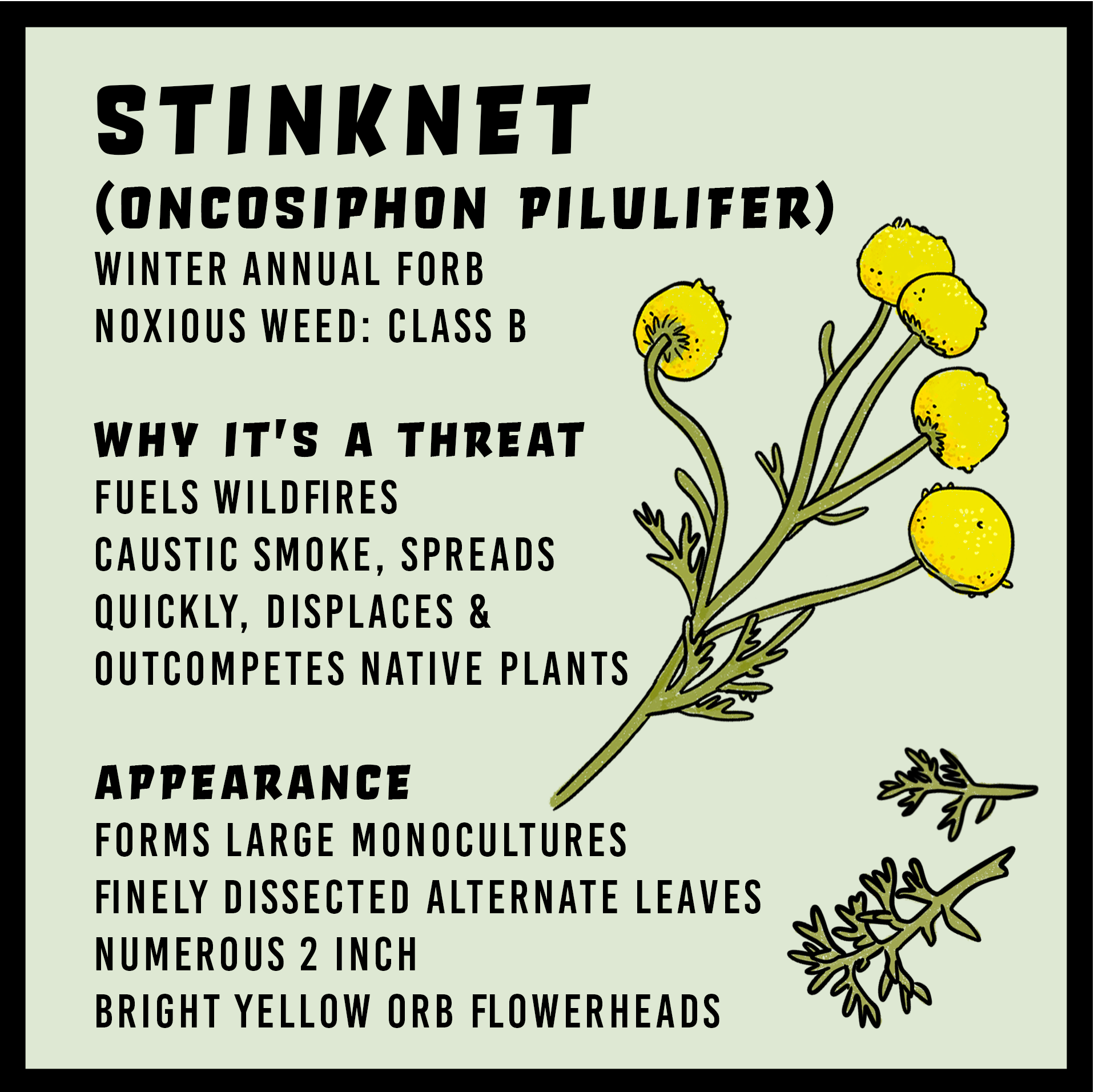 Stinknet infographic