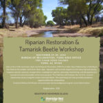 Yuma_Workshop_Flyer_1128-18